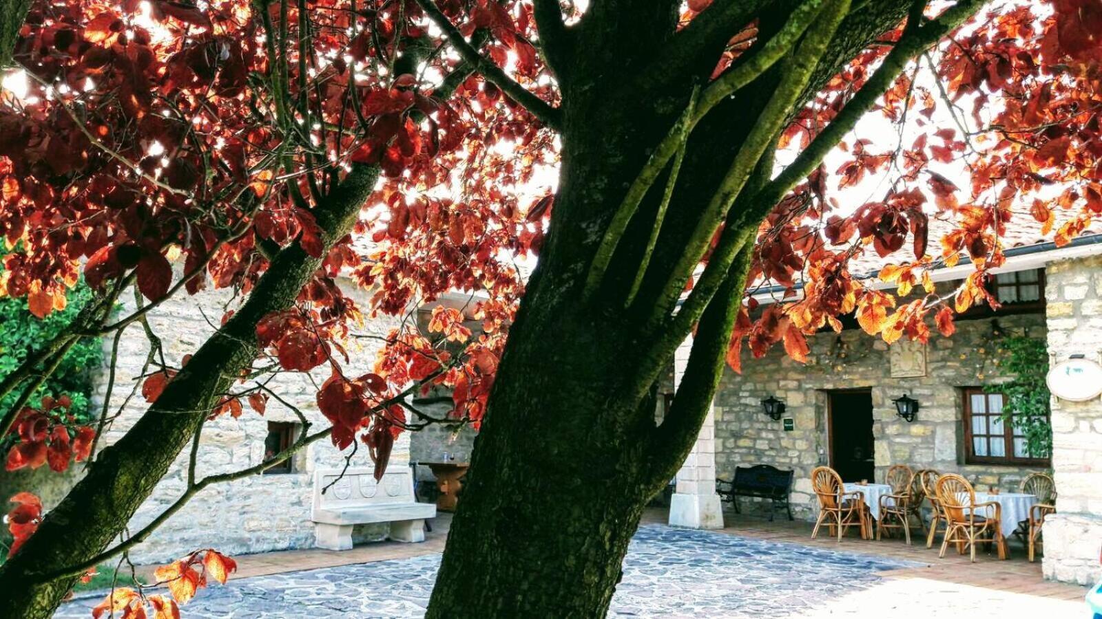 Posada Paz Hinojedo Dış mekan fotoğraf